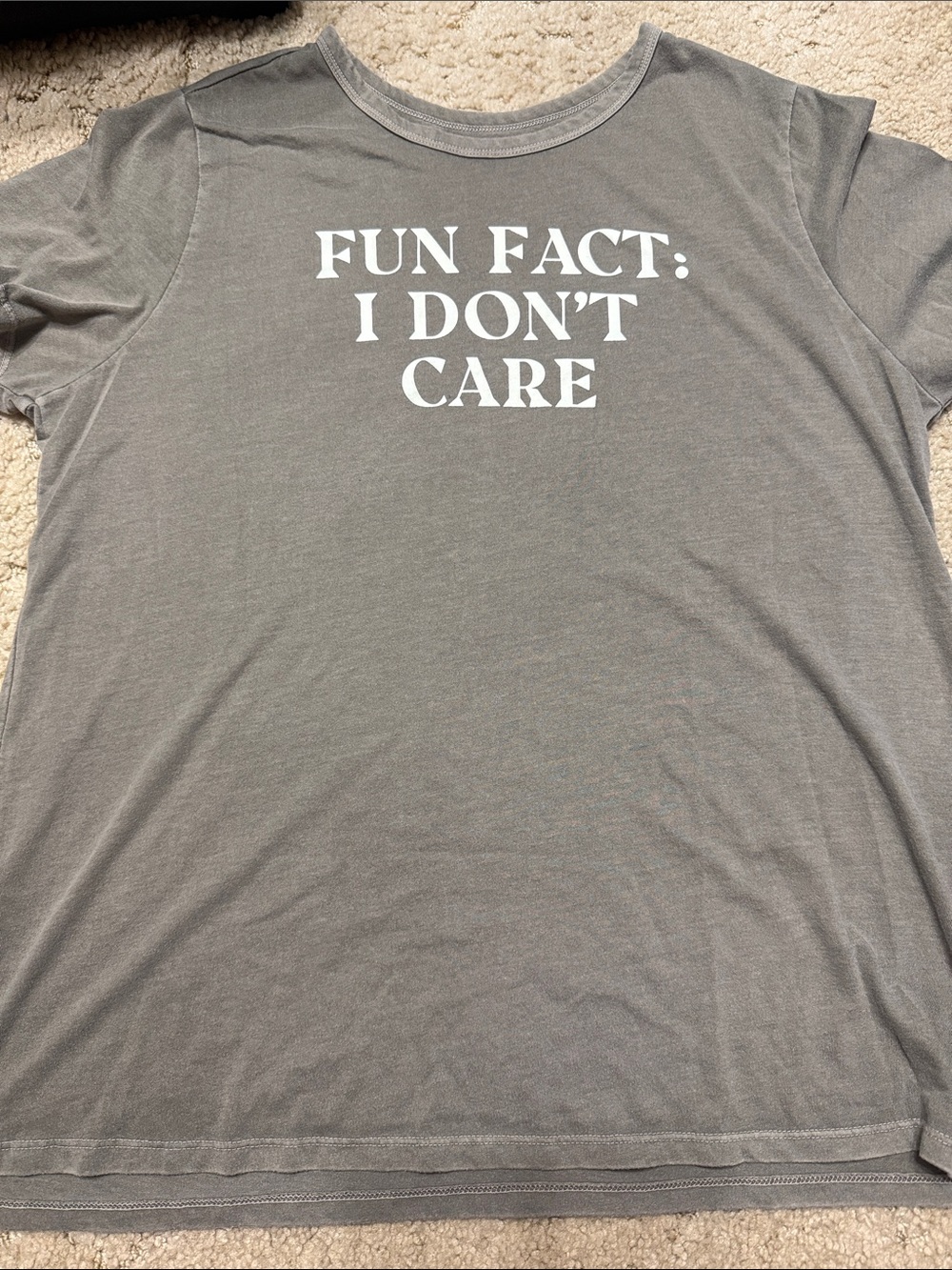 torrid Gray Graphic Tee "FUN FACT: I DON'T CARE"